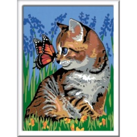 Pictura Pe Numere - Pisicuta Si Fluturas Ravensburger - 1